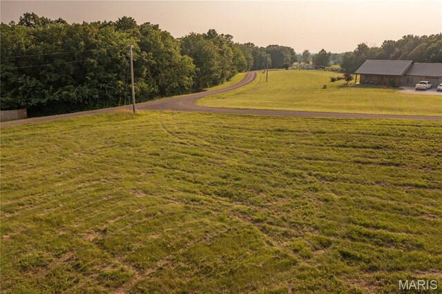 325 Ehmler Ln, Elsberry, MO 63343 - photo 8