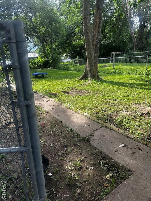 1412 N Olive St, Mexico, MO 65265 - view of yard