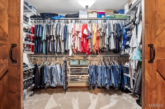 13345 Iberg Rd, Highland, IL 62249 - view of spacious closet