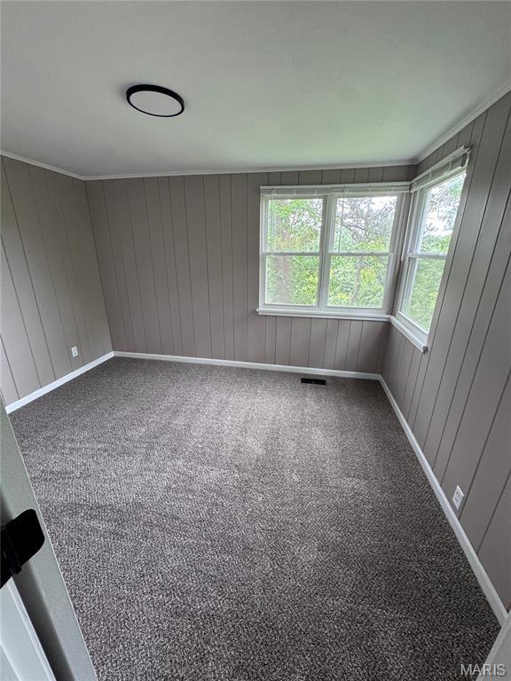 1841 Opeechee Beach Rd, Pacific, MO 63069 - photo 10