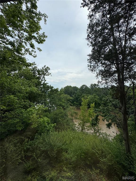 1841 Opeechee Beach Rd, Pacific, MO 63069 - photo 16