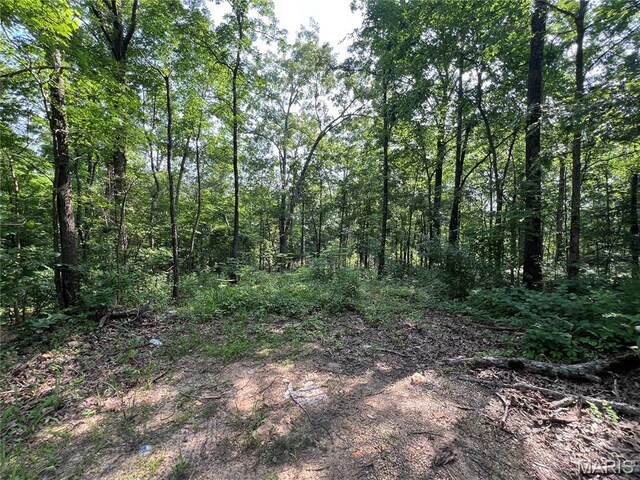 0 Lakeview Dr, Wappapello, MO 63966 - photo 1