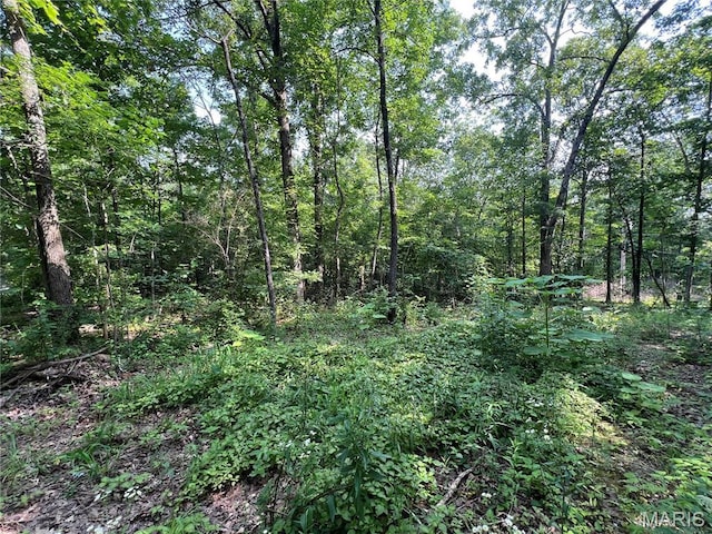 0 Lakeview Dr, Wappapello, MO 63966 - photo 2
