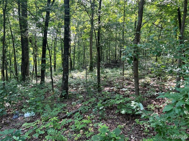 0 Lakeview Dr, Wappapello, MO 63966 - photo 5