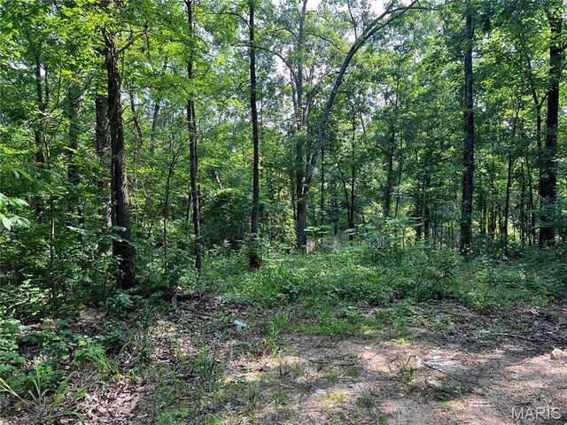 0 Lakeview Dr, Wappapello, MO 63966 - photo 7