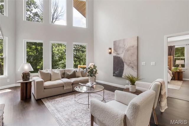 3516 Hawthorne Ridge Dr, Eureka, MO 63025 - living room featuring a towering ceiling and wood finished floors