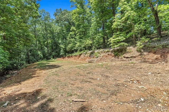 3516 Hawthorne Ridge Dr, Eureka, MO 63025 - view of woods