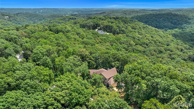 3516 Hawthorne Ridge Dr, Eureka, MO 63025 - aerial view of a forest