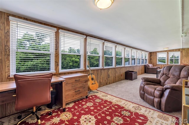 5701 State Road P, De Soto, MO 63020 - sunroom / solarium featuring wood walls and carpet floors