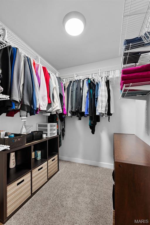 107 Piety Dr, Lake St Louis, MO 63367 - walk in closet featuring carpet floors