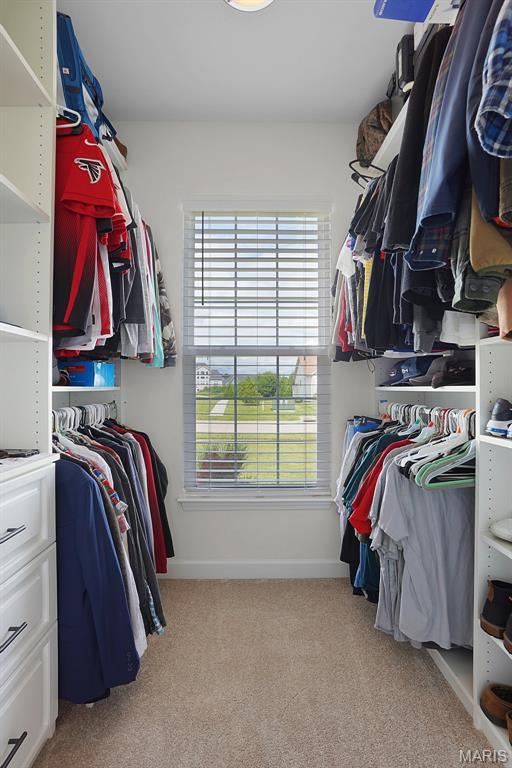 234 Lonepine Dr, Wentzville, MO 63385 - walk in closet with carpet flooring