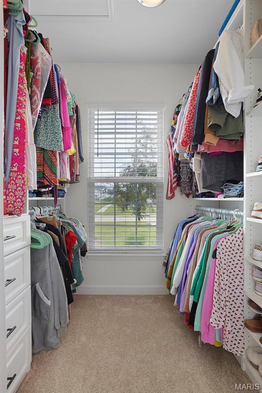 234 Lonepine Dr, Wentzville, MO 63385 - spacious closet with carpet flooring