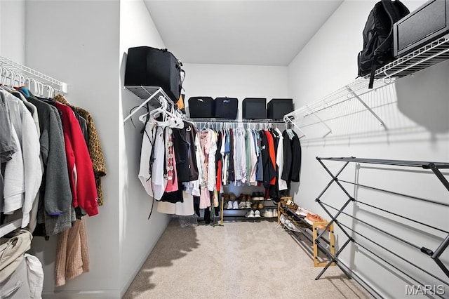 213 Dell View Dr, Arnold, MO 63010 - walk in closet featuring carpet flooring