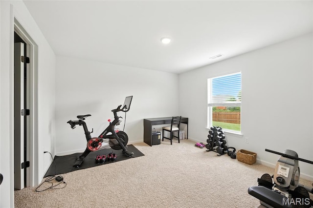 213 Dell View Dr, Arnold, MO 63010 - workout area with carpet floors and baseboards
