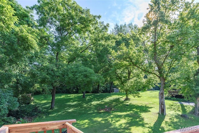 1209 Woodcrest Ln, Hazelwood, MO 63042 - photo 23