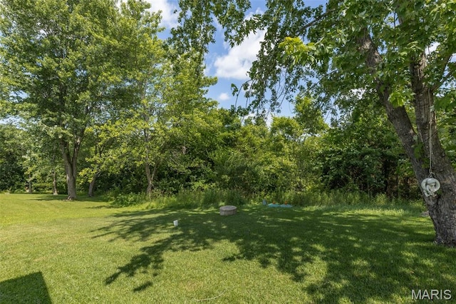 1531 Charmaine Dr, Bonne Terre, MO 63628 - view of green lawn