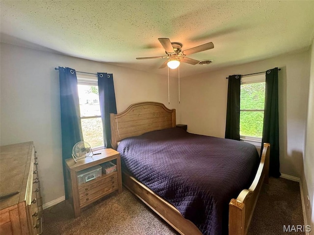 119 N Saint Charles St, Bowling Green, MO 63334 - carpeted bedroom with multiple windows, a textured ceiling, and ceiling fan
