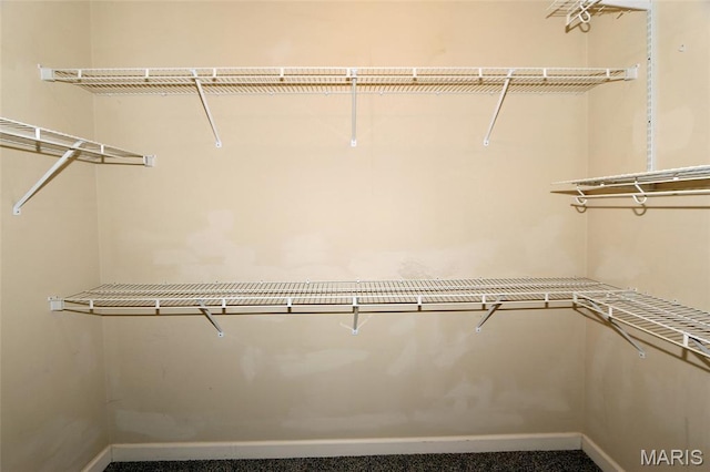 2636 S Mcknight Rd, Rock Hill, MO 63124 - view of walk in closet