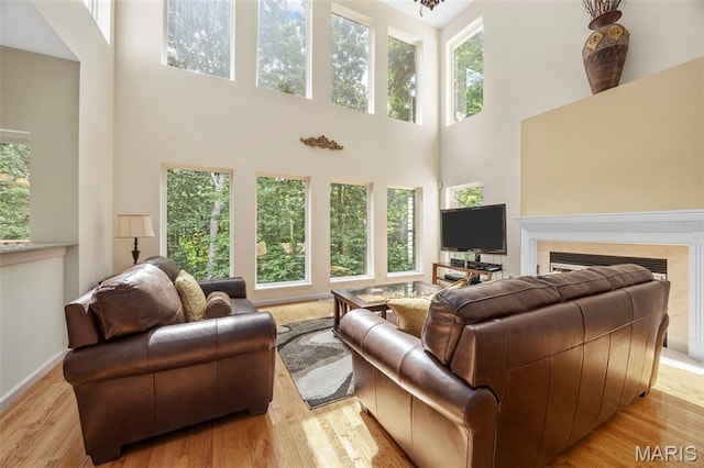 5 Hickory Glen Ct, Lake St Louis, MO 63367 - living area with a towering ceiling, light wood-style floors, and a fireplace