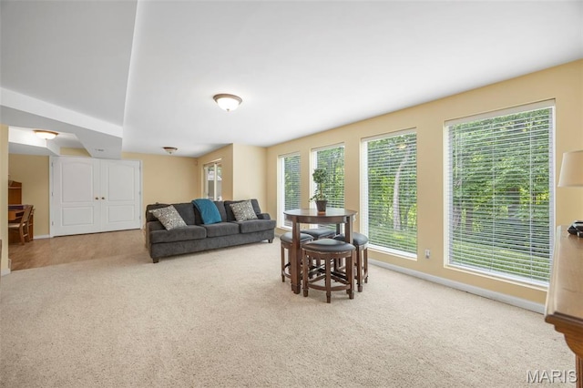 5 Hickory Glen Ct, Lake St Louis, MO 63367 - carpeted living room with baseboards