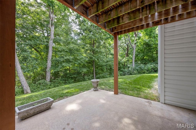 5 Hickory Glen Ct, Lake St Louis, MO 63367 - view of patio / terrace