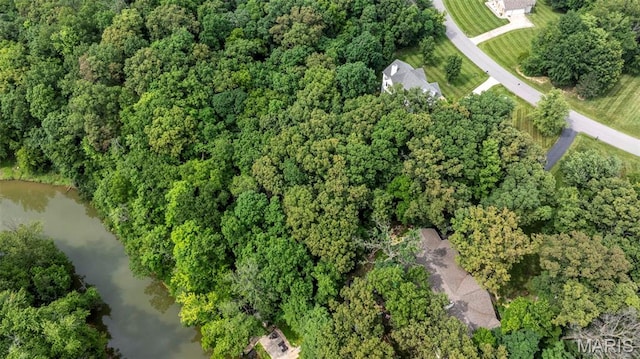 5 Hickory Glen Ct, Lake St Louis, MO 63367 - view of property location with a large body of water