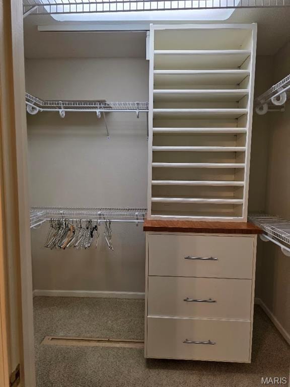 302 Lorean St, Troy, IL 62294 - view of closet