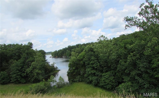 LOT315SEC6 Marion Dr, De Soto, MO 63020 - photo 3