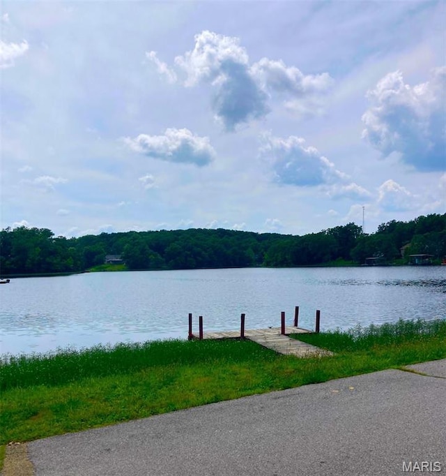 LOT315SEC6 Marion Dr, De Soto, MO 63020 - photo 5