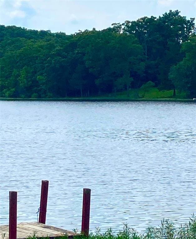 LOT315SEC6 Marion Dr, De Soto, MO 63020 - photo 6