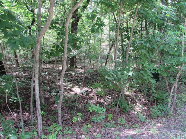 LOT315SEC6 Marion Dr, De Soto, MO 63020 - photo 7