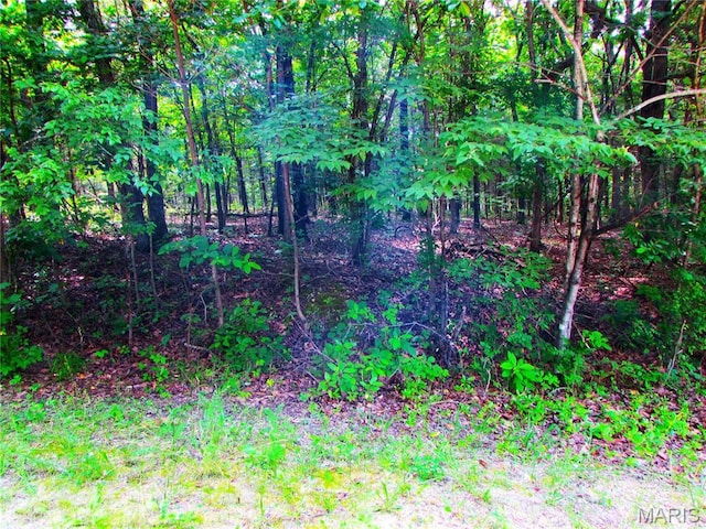 LOT315SEC6 Marion Dr, De Soto, MO 63020 - photo 8