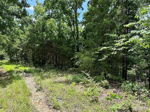 TBD Bluebird Lane, Rolla, MO 65401