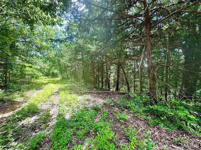 TBD Bluebird Lane, Rolla, MO 65401