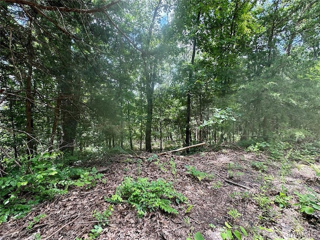 TBD Bluebird Lane, Rolla, MO 65401