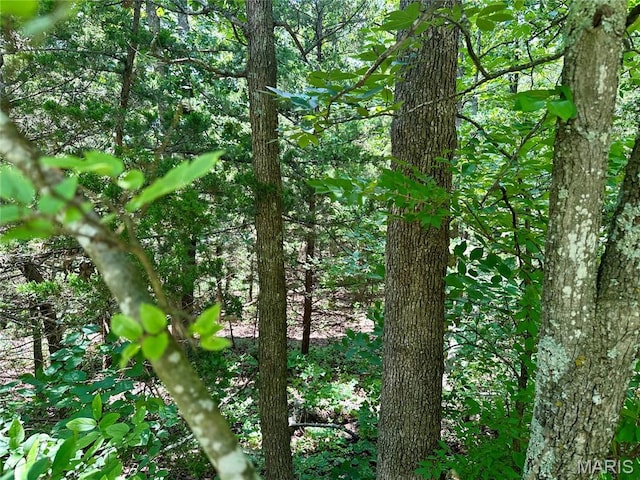 TBD Bluebird Lane, Rolla, MO 65401