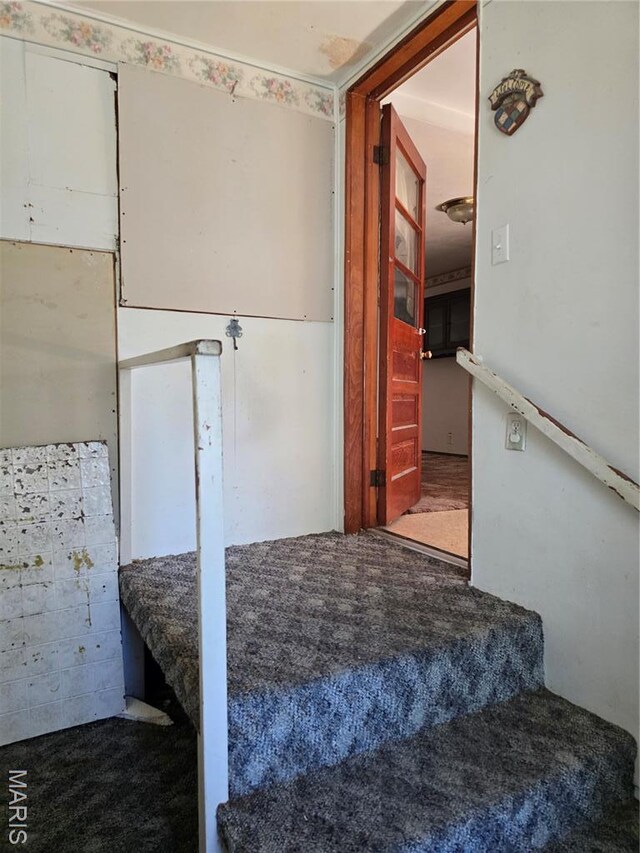 510 W 2nd St, Coffeen, IL 62017 - photo 19