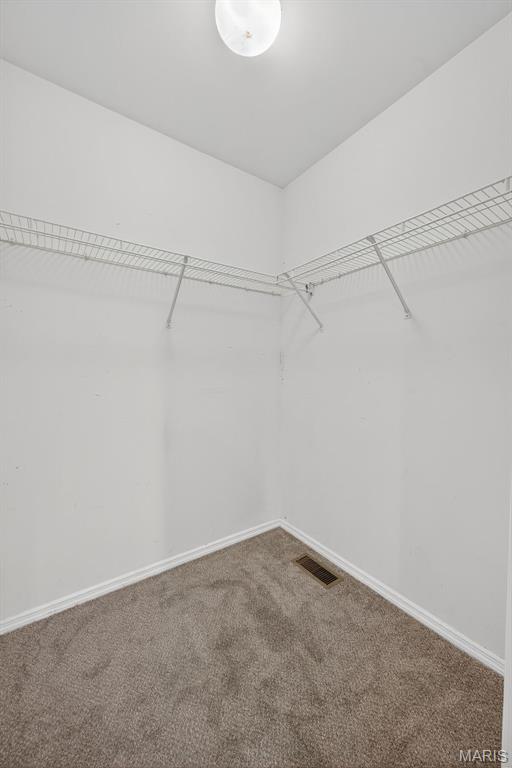 794 Buckboard Ln, Fenton, MO 63026 - walk in closet with carpet floors