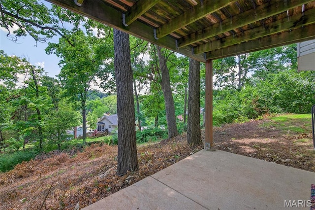794 Buckboard Ln, Fenton, MO 63026 - view of patio