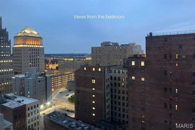 915 Olive St Unit 1504, Saint Louis, MO 63101 - photo 24