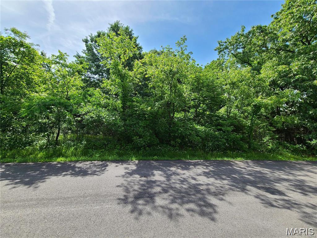 10312 Turkey Trail Dr, Hillsboro, MO 63050