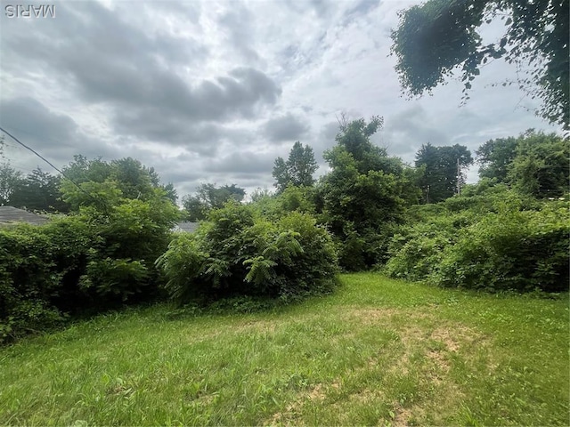 5 Dadebridge Ct, Saint Louis, MO 63135 - view of yard
