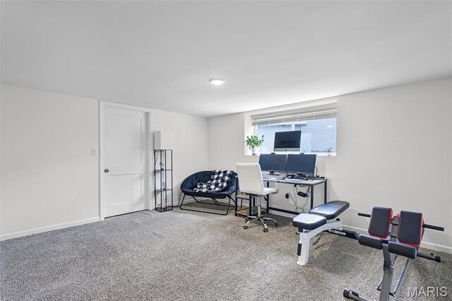 1007 Crows Nest Ct, Caseyville, IL 62232 - workout room with carpet flooring