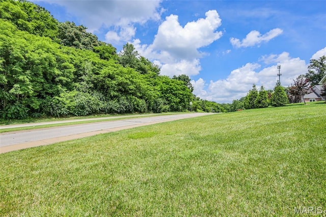 1007 Crows Nest Ct, Caseyville, IL 62232 - view of grassy yard
