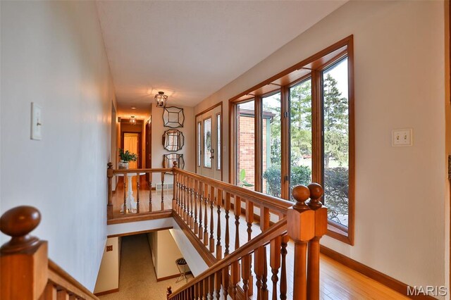 44 Matterhorn Dr, Glen Carbon, IL 62034 - photo 43