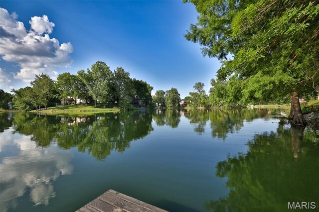 44 Matterhorn Dr, Glen Carbon, IL 62034 - photo 68