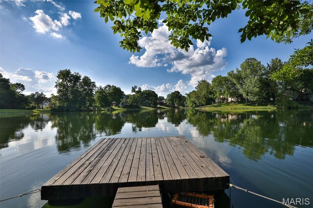 44 Matterhorn Dr, Glen Carbon, IL 62034 - photo 70