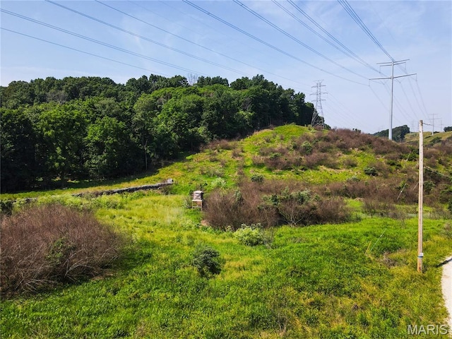 0 Glick Rd, High Ridge, MO 63049 - photo 13