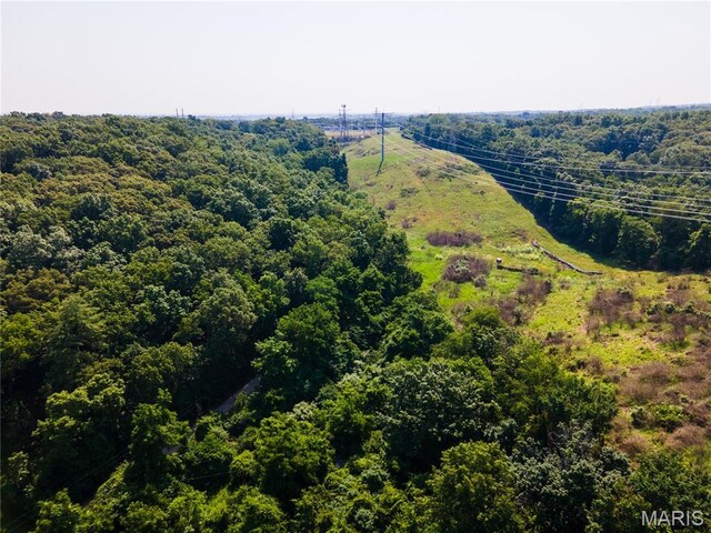 0 Glick Rd, High Ridge, MO 63049 - photo 17