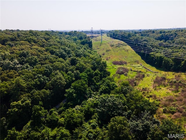 0 Glick Rd, High Ridge, MO 63049 - photo 18